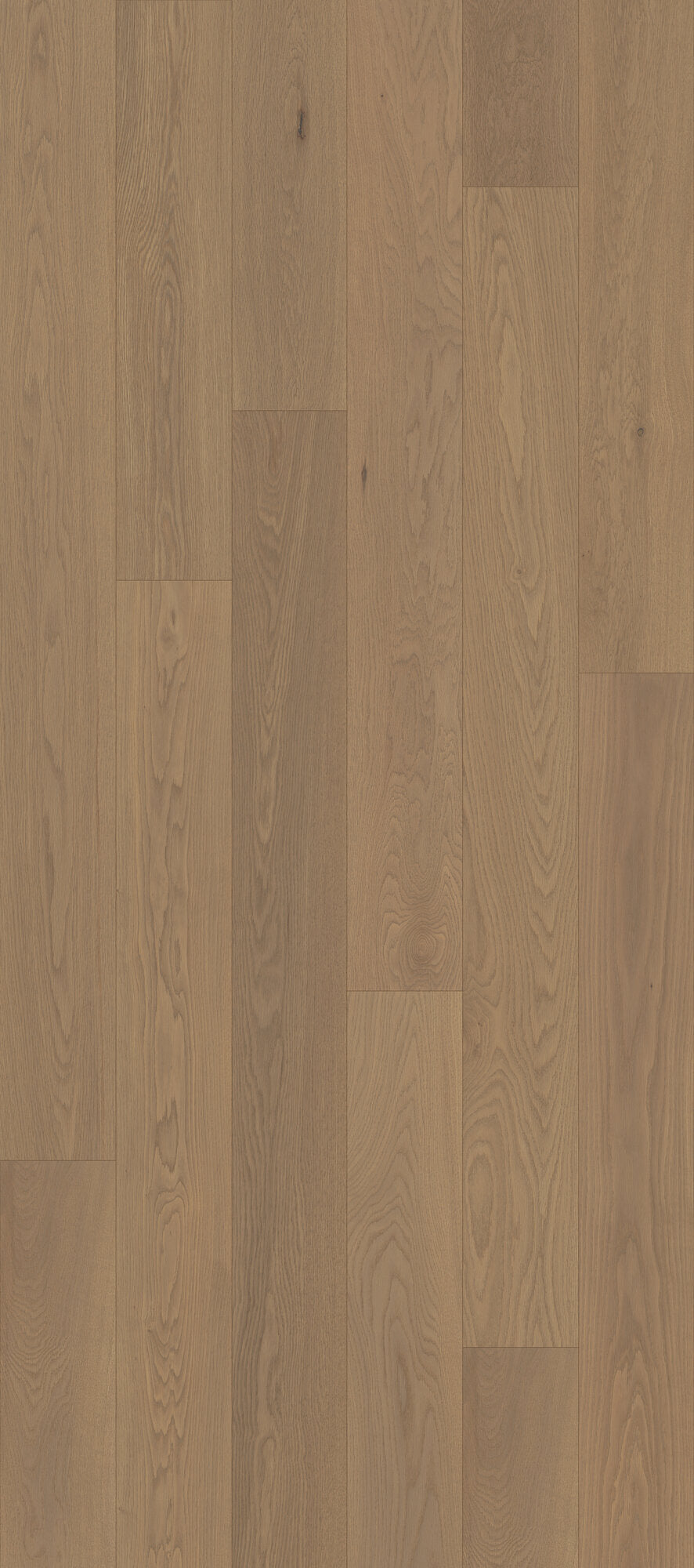 Whistler's Village Mist Hollow Engineered Hardwood Flooring, Fuzion swatch