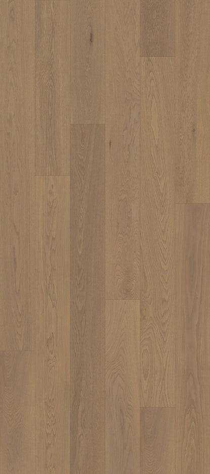 Whistler's Village Mist Hollow Engineered Hardwood Flooring, Fuzion swatch