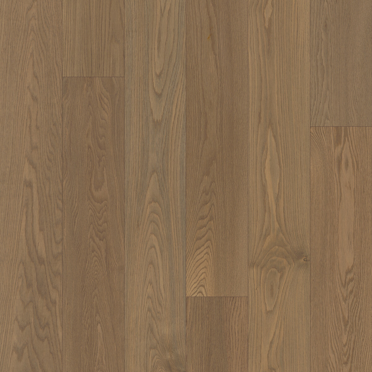 Whistler's Village Quiet Orchard Engineered Hardwood Flooring, Fuzion square flooring swatch