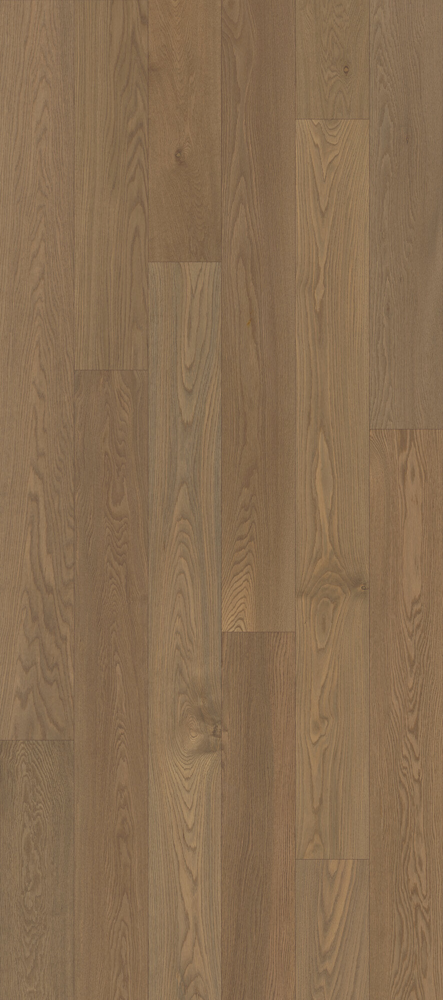 Whistler's Village Quiet Orchard Engineered Hardwood Flooring, Fuzion swatch